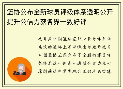 篮协公布全新球员评级体系透明公开提升公信力获各界一致好评